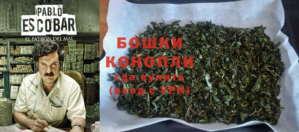 стаф Бикин