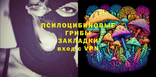 твердый Вязники
